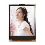 專業(yè)提供TN STN TFT OLED等各項(xiàng)液晶顯示屏