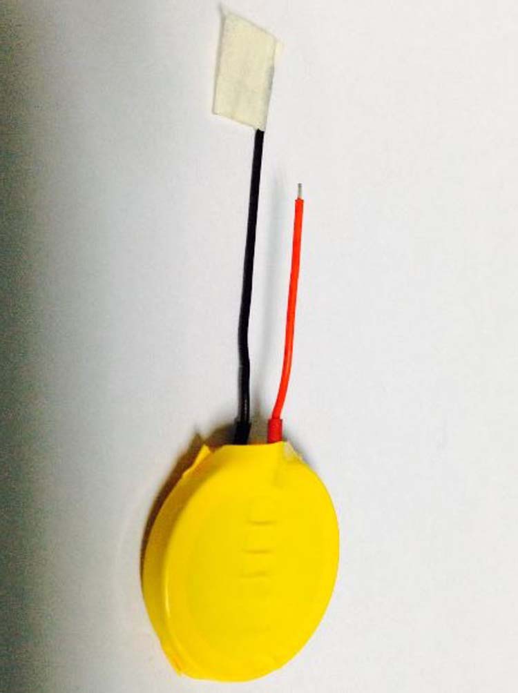 POS機(jī)用紐扣電池CR2450扣式鋰電池